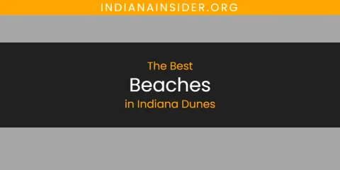 The Absolute Best Beaches in Indiana Dunes