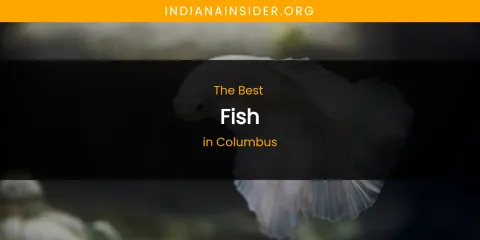 The Absolute Best Fish in Columbus