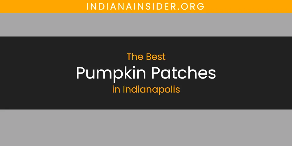 2026 Guide to Best Pumpkin Patches in Indianapolis