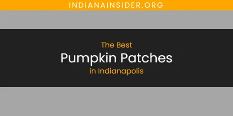Guide to Best Pumpkin Patches in Indianapolis